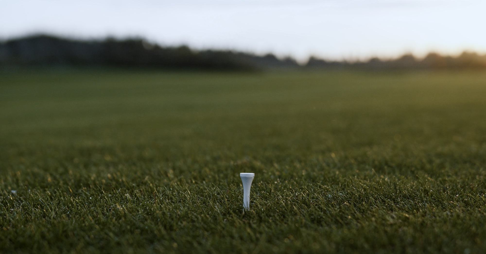 golf course with a golf tee